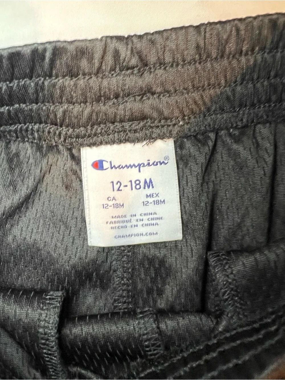 Champion gray tee